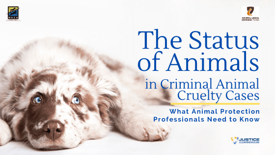 The Status of Animals in Criminal Animal Cruelty Cases: What Animal  Protection Professionals Need to Know